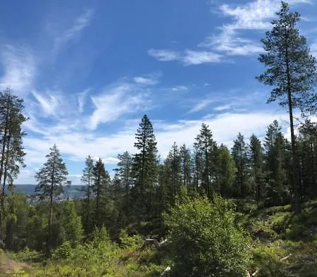 Hanaborg Апартаменты *